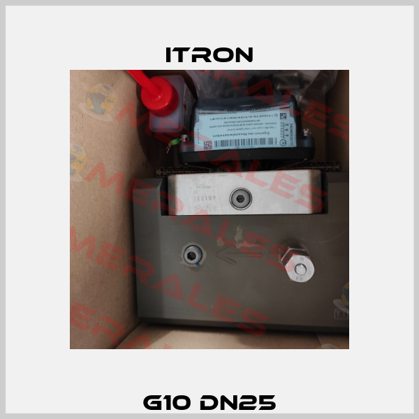 G10 DN25 Itron