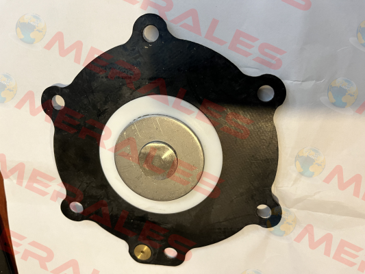big diaphragm for PL101007N Tork