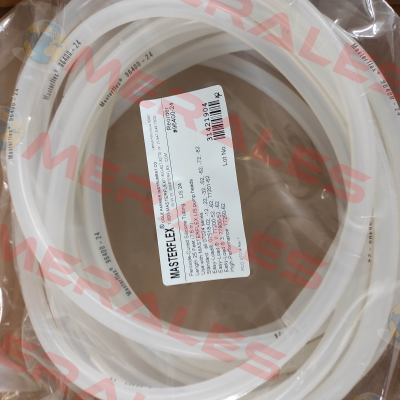 96400-24 Masterflex