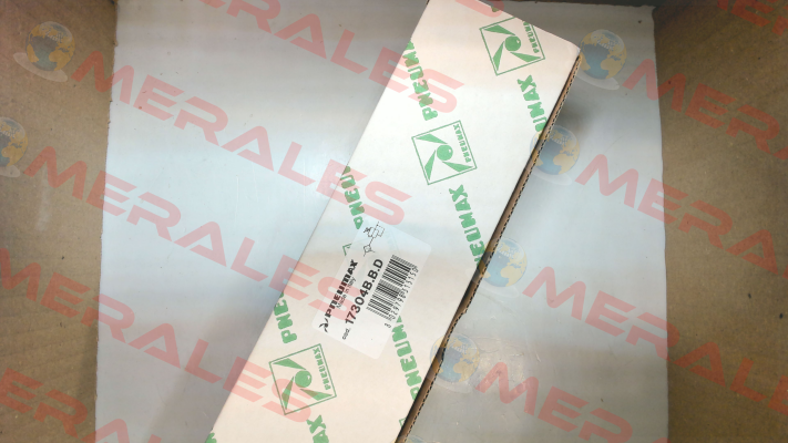 17304B.B.D Pneumax