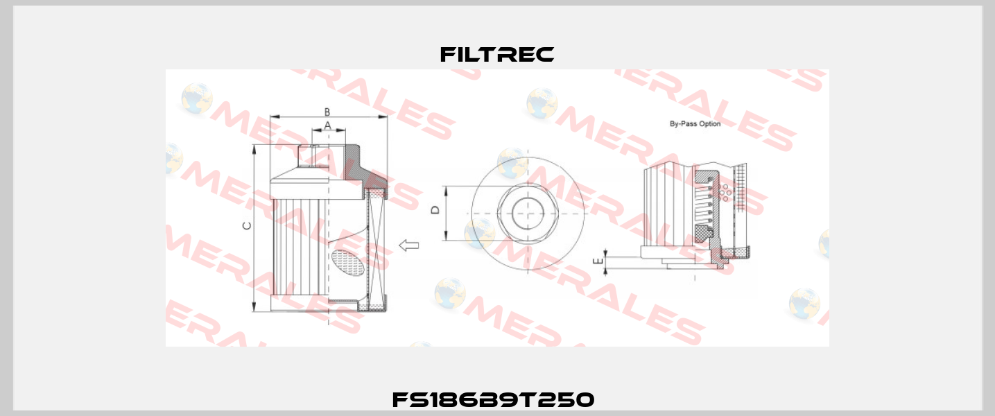 FS186B9T250  Filtrec