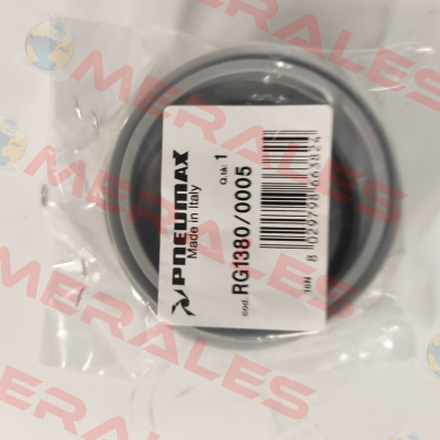 RG1380/0005 Pneumax