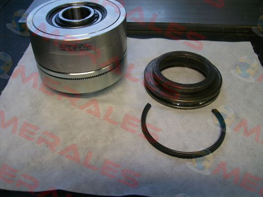 Seal ring for 060133 (QR 4340)  Telcomec