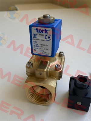 S401005170V Tork