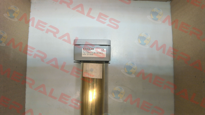 SSM.2.A5.B5.100.335.3 Engler