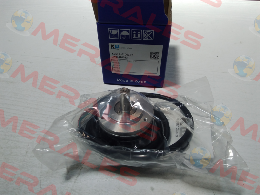 KS48-8-0100ZT-1 LS Mecapion
