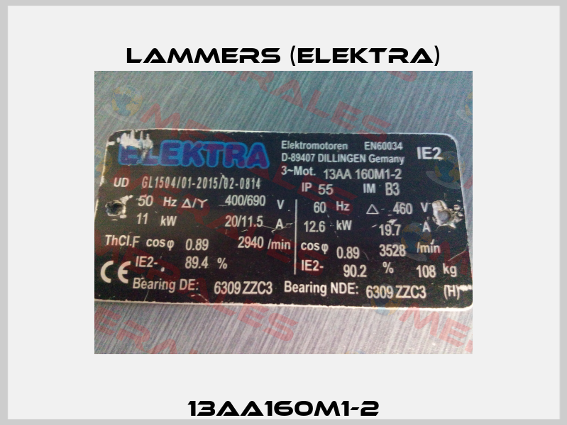 13AA160M1-2 Lammers (Elektra)