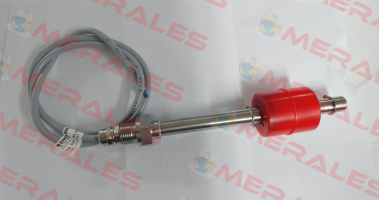 SSE.1.B2.107.2.S1 Engler