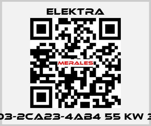 1TZ9503-2CA23-4AB4 55 kW 3000 n ELEKTRA