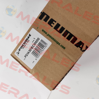 PG1A301EC10000 Pneumax