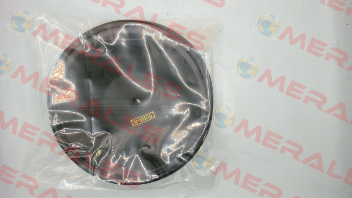 160 4020B DP-25 Diaphragm Buna / 3008587 TERYAIR