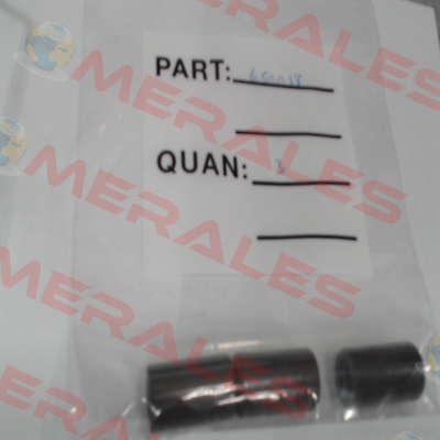 650018 General Pump