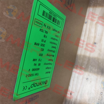 3TT13S4100008 / T3A 132S2-2 Electro Adda