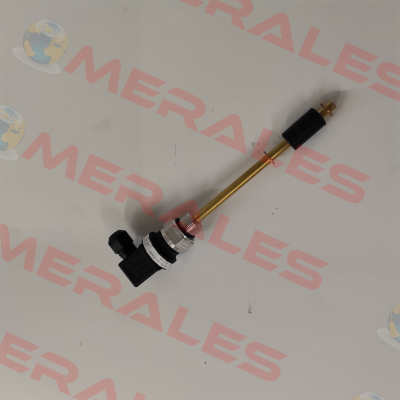 G113198 - M60.1.B4.110.01.01.8.70O Engler