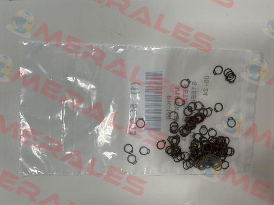 SH-18ST ZD / 5CA13 Rotor Clip