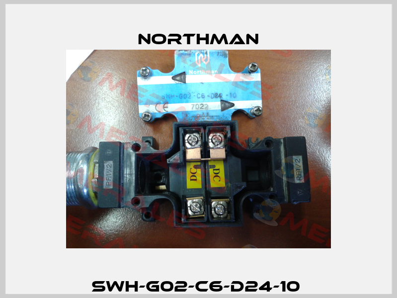 SWH-G02-C6-D24-10  Northman
