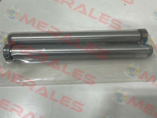 Z01/20x200 Hasco