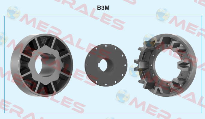 B3M  Transfluid