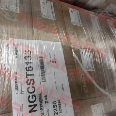 NGCST6133 Ensto