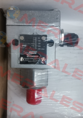 EX-DNS025 FEMA