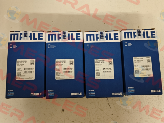 029 WV 20 00 MAHLE