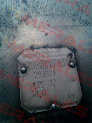 293821 Vogel