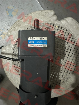 5GN30K ZD-Motors