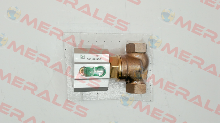 G1018224SC Pneumax