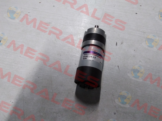 E192.24.13 Micro Motors