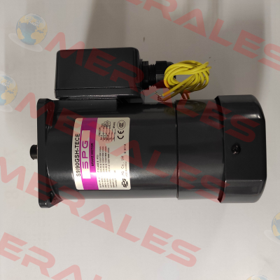 S9I90GSH-TECE Spg Motor