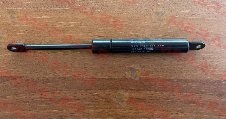 1165AE 0300N 264/04 E 09 Stabilus