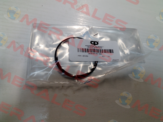 A0ORW0153/00O POMPE CUCCHI SRL