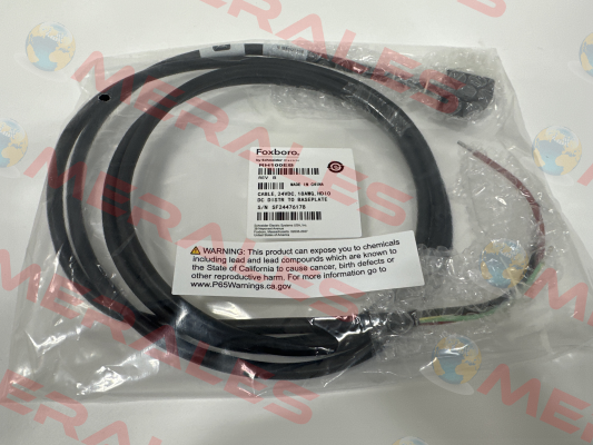 RH100EB Foxboro