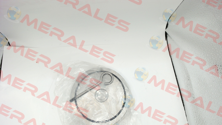 365065/STAINLESS STEEL CHECK V. 365 PN16 DN65 Sferaco