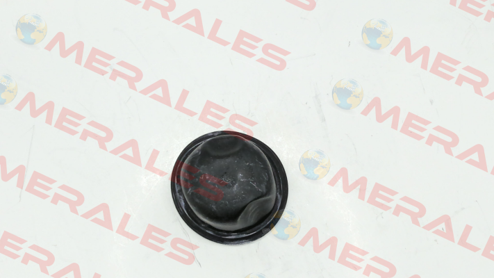 A04246874 MAHLE