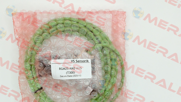 RGM2S-AM2-M3S/T300 VS Sensorik