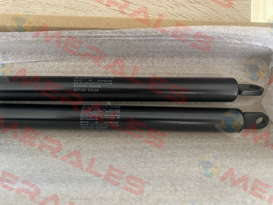 095060 Stabilus