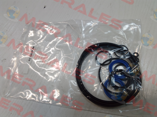 KIT.100.22.RM Enerfluid