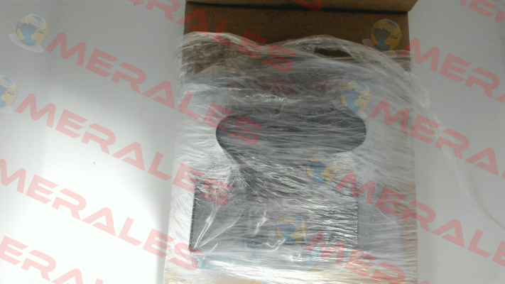 WE255-4R100Z24/0H Voith