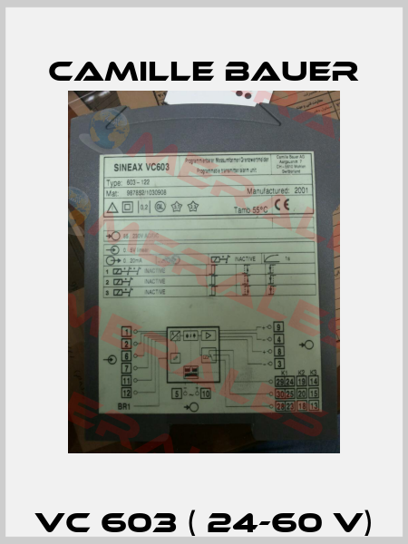 VC 603 ( 24-60 V) Camille Bauer