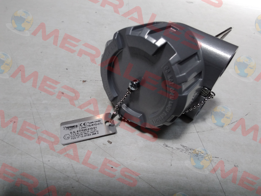 TS-RTD-CTL Termics