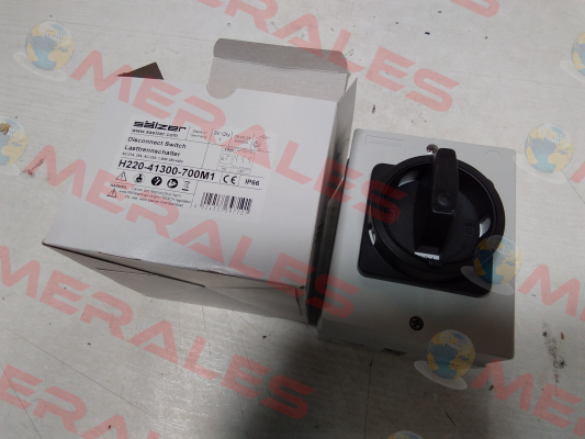 H220-41300-700M1 Salzer