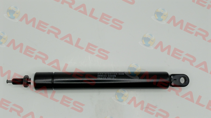 299030 Stabilus