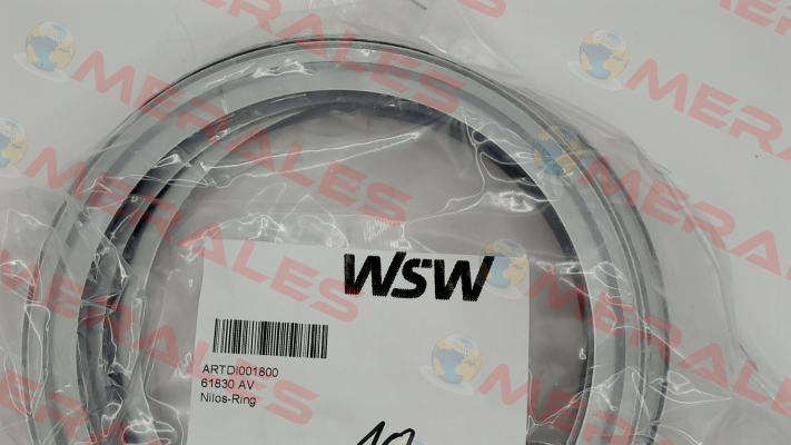 61830 AV WSW  Wälzlager