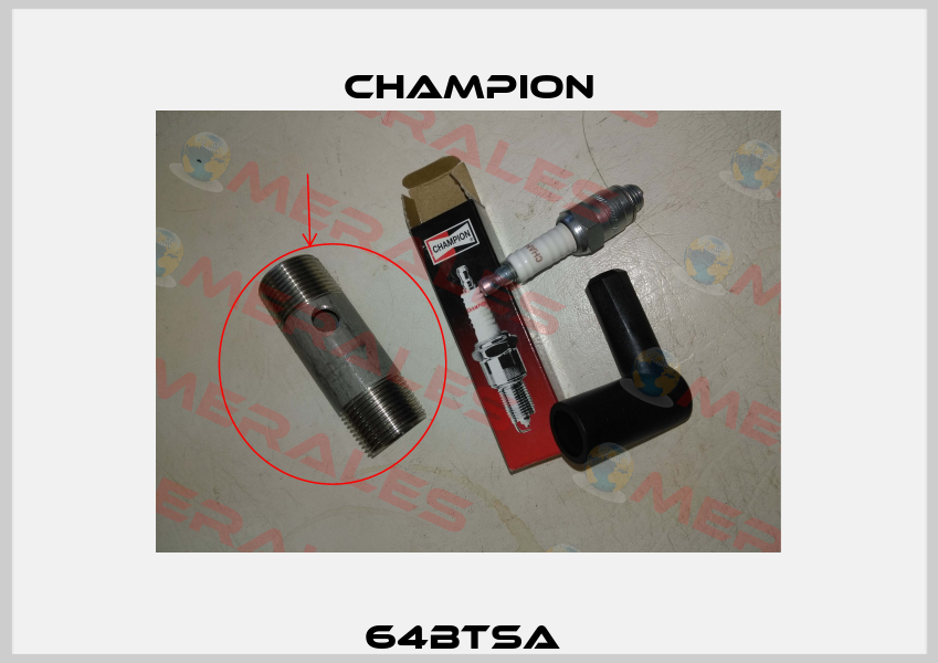 64BTSA  Champion