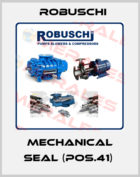 Mechanical seal (Pos.41)  Robuschi