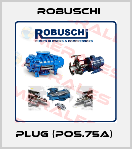 Plug (Pos.75A)  Robuschi