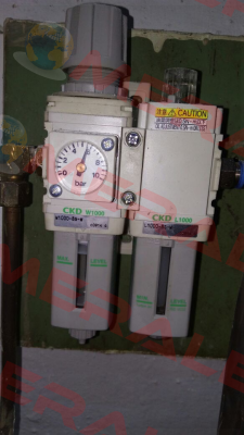 W1000-8G-W Ckd