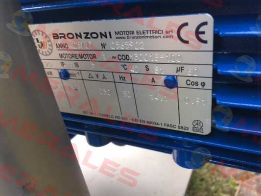 0565902  Bronzoni