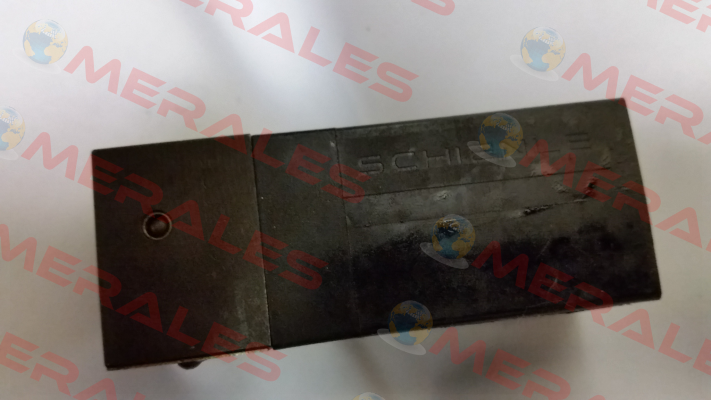 WE05-4P100D24/0H Schienle